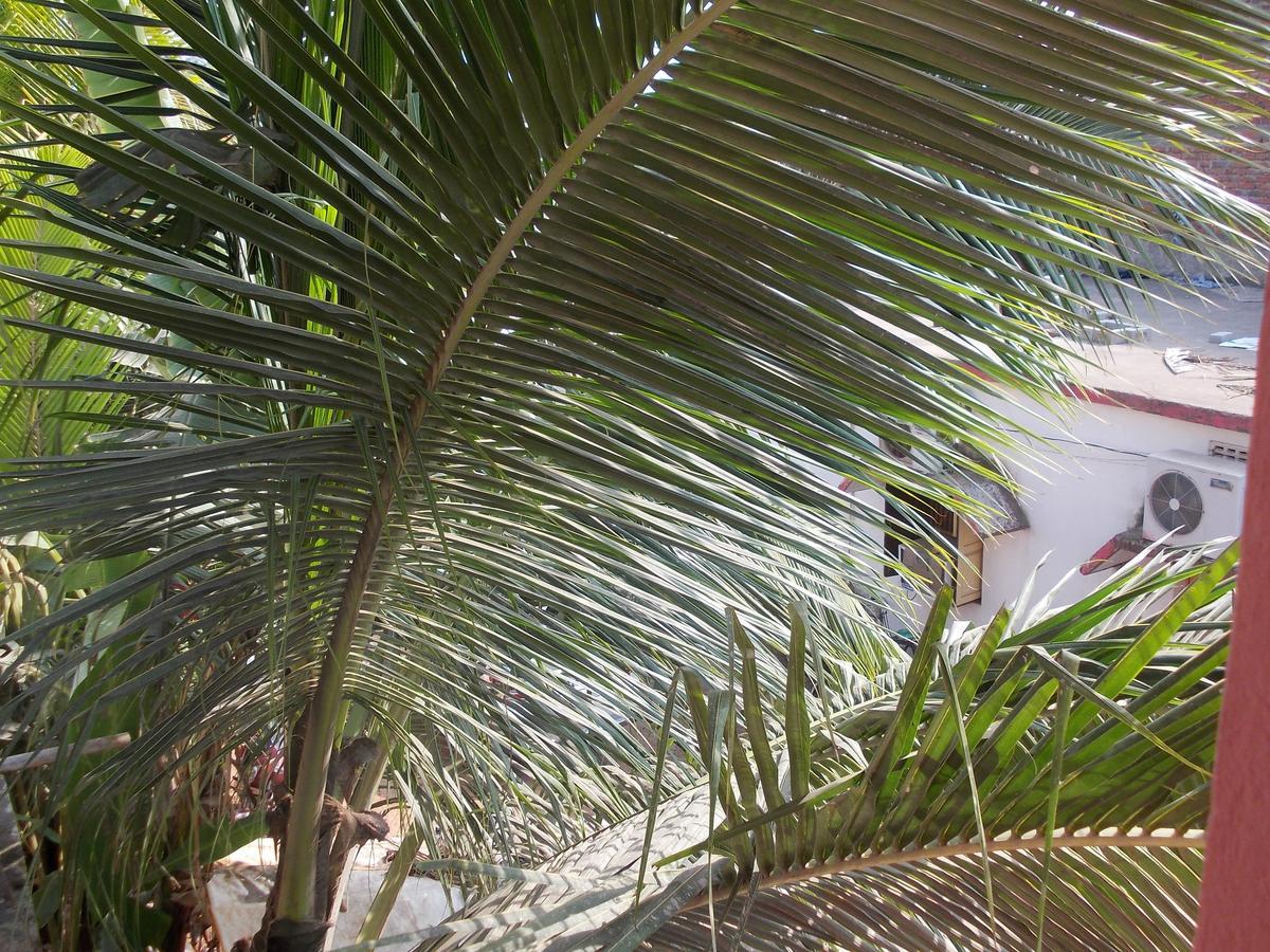 Hotel Sun Plaza-Near Konark Sun Temple- Couple Friendly-Best Choice Of Travellers Ngoại thất bức ảnh